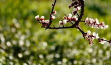 无刻不在的温暖