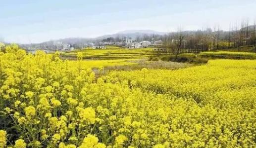 春季郊游