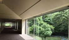 窗外的那片碧绿