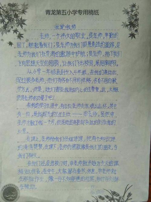 [12月论文]难忘的中队会议_1200字