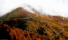 漫漫古情在路上