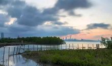 感谢一起看风景的人