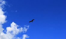 还教育一片天空