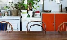 我家那充满生机的阳台