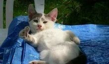 为自己竖起一个大拇指