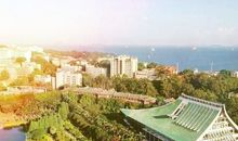 忘不了那次教训