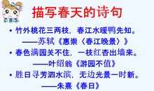 那一次，我读懂了母亲的心
