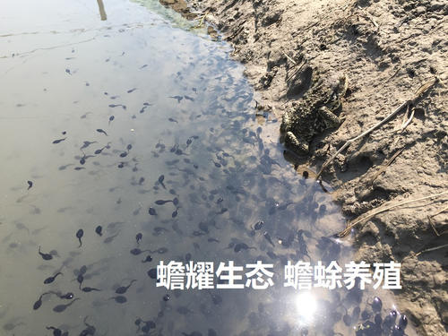 触摸在哪里