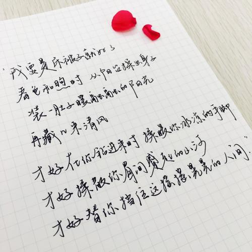 春天我喜欢你