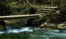 我愿似那一涓溪流