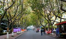 校园中亮丽的风景