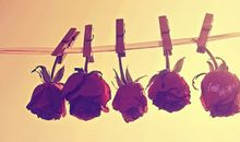 点点滴滴都有爱