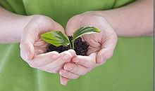 我读懂了她的感激