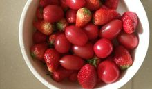 我最爱的水果草莓