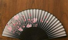 我国的扇子艺术_1500字