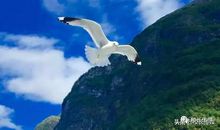 这堂课我真什么