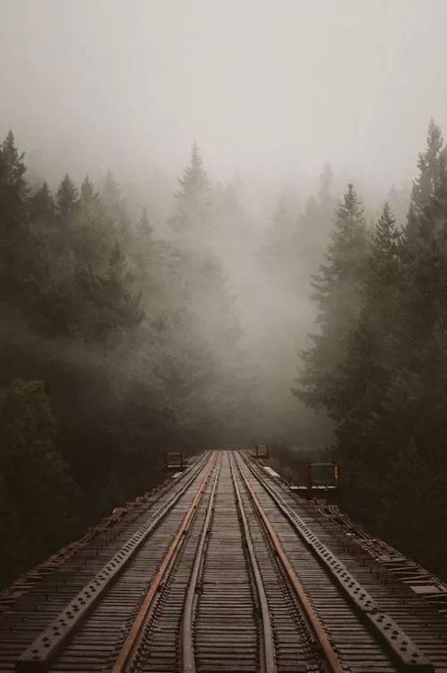 飞行草帽的后果