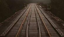 会飞的草帽观后感