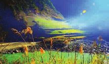 你是我心中最靓丽的风景线