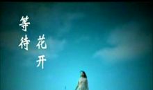 等待花开的时节