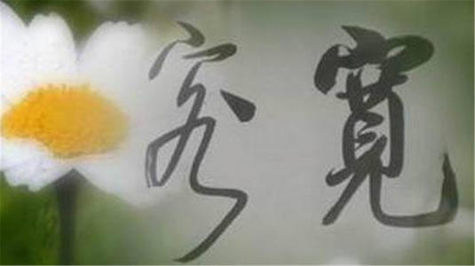 宽容的生活_650字