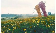 留在心底的温暖