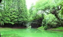 在大自然的怀抱中