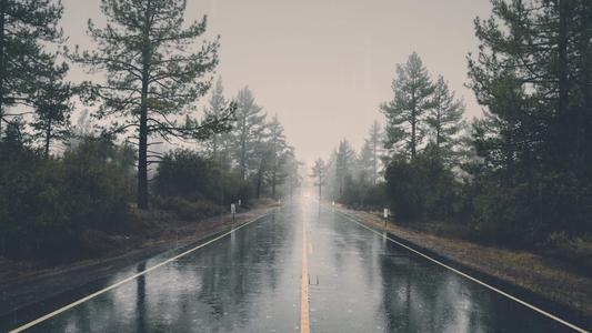 雨