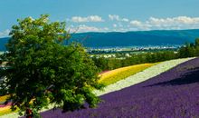 一次回老家的经历