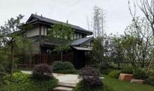 难忘江南百草园