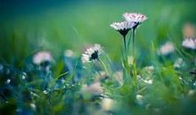 懂得低头亦是一种智慧