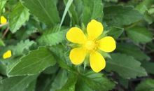 有一种回忆叫温暖