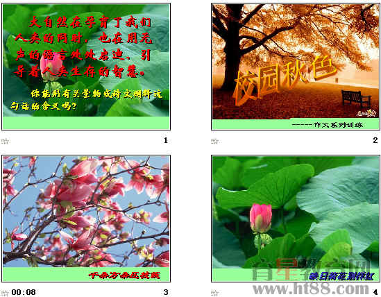 感受苦药的甜味_600字