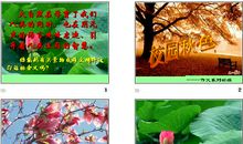 感受苦药的甘甜_600字