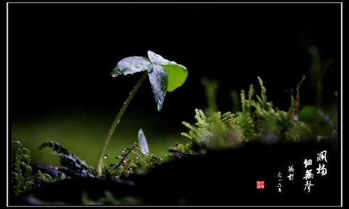 角落里的阳光
