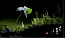 角落里的那一抹阳光