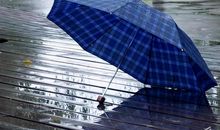 那抹美丽的身影