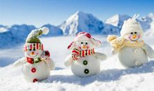 冬天优美段落：我爱家乡的冬天_700字