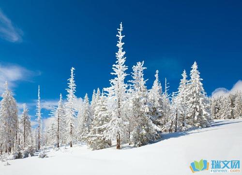 冬季美丽段落：雪段_750字