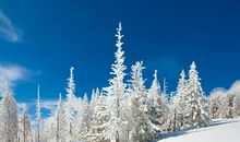 冬天优美段落：雪段落_750字