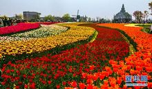 五彩缤纷的大地_400字