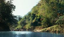 我想成为一条小河