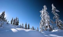 冬天优美段落：又是冬天来到时段落_700字