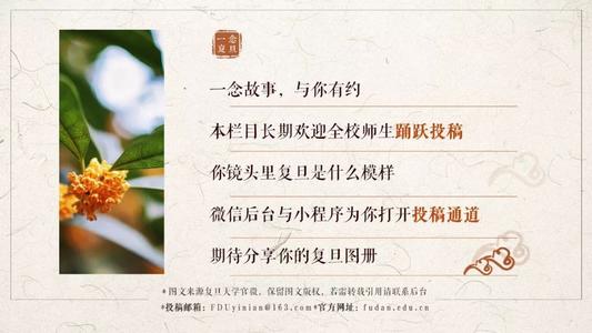 冬季的优美通道：温馨的路灯通道_700字