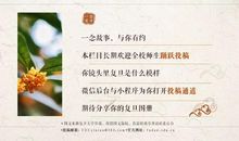 冬天优美段落：暖心的路灯段落_700字