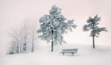 冬天优美段落：冬日印象段落_600字