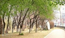 追逐平等的脚步