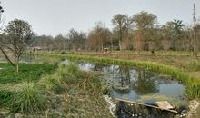 冬天优美段落：冬日暖阳段落_900字