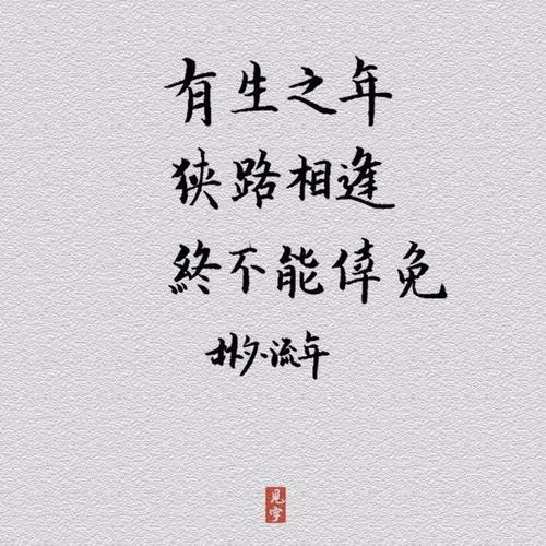 历时100年字