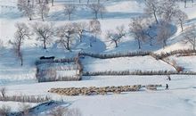 走进家乡的四季